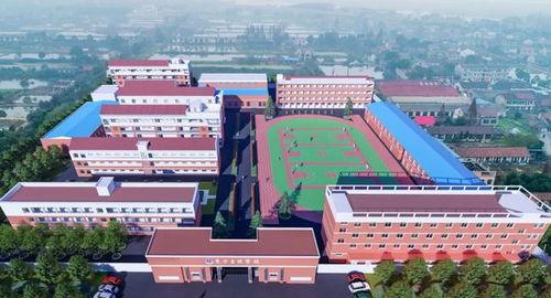 爆料益阳学校视频,揭秘校园真实面貌  第2张