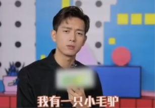 李现最新爆料贴吧叫什么,揭秘贴吧神秘面纱 第3张 李现最新爆料贴吧叫什么,揭秘贴吧神秘面纱 第3张